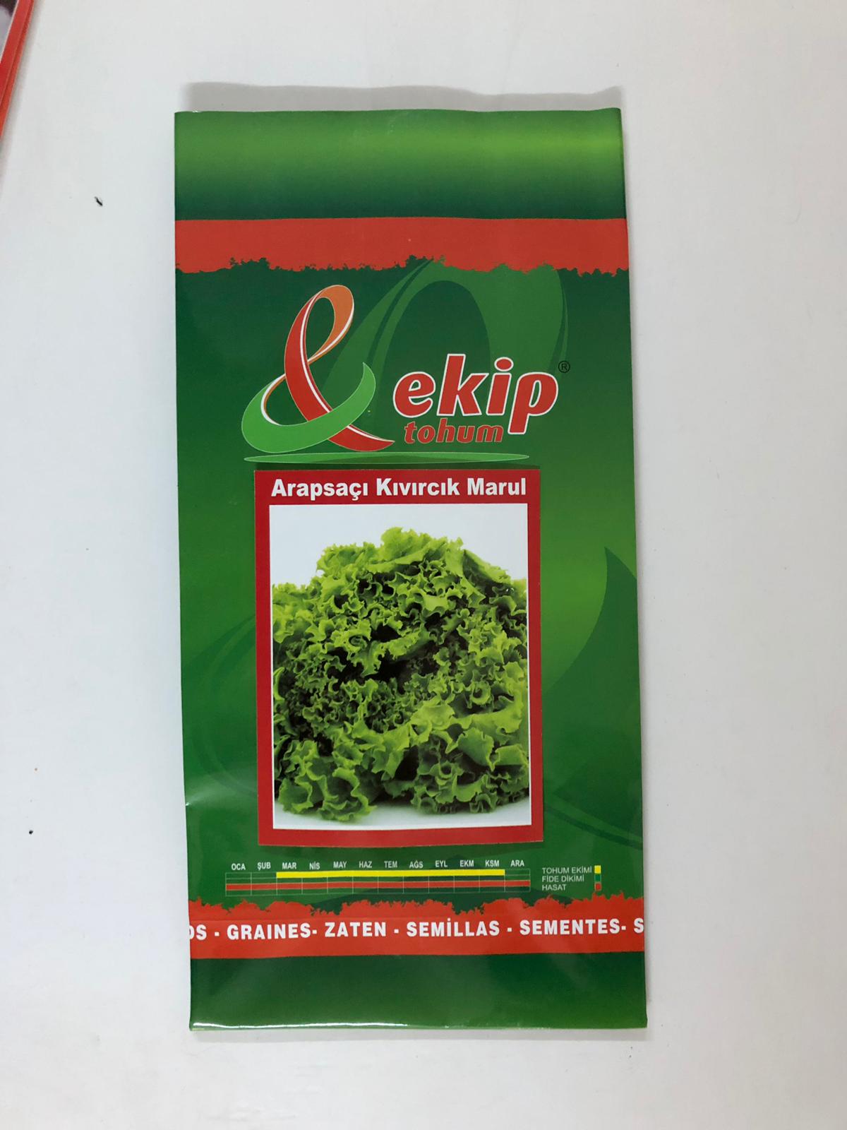 IMG-20190118-WA0071